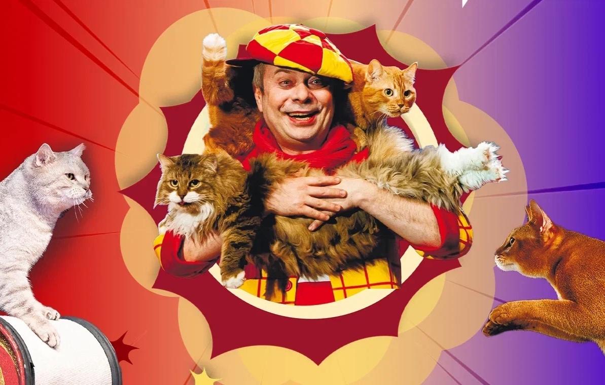 Дмитрий Куклачев. Котобум!