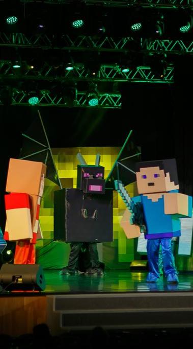 Майнкрафт шоу. Minecraft show