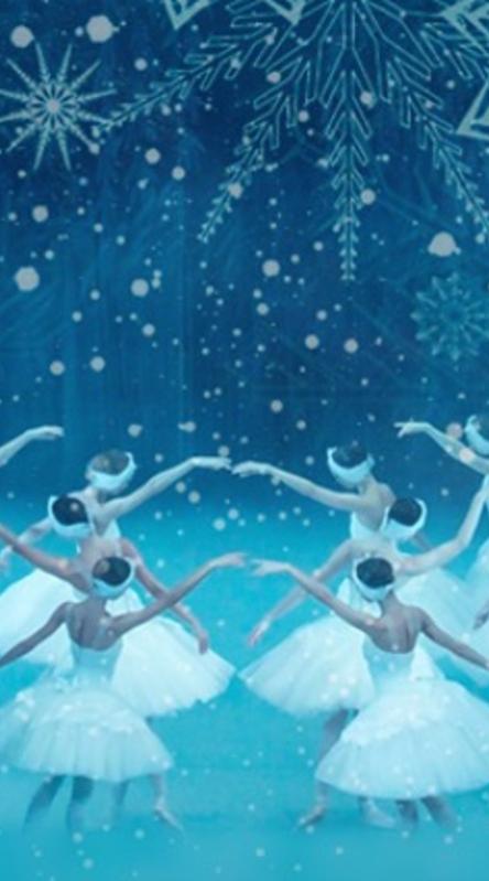 Новогодний концерт. П. И. Чайковский. Великие балеты
